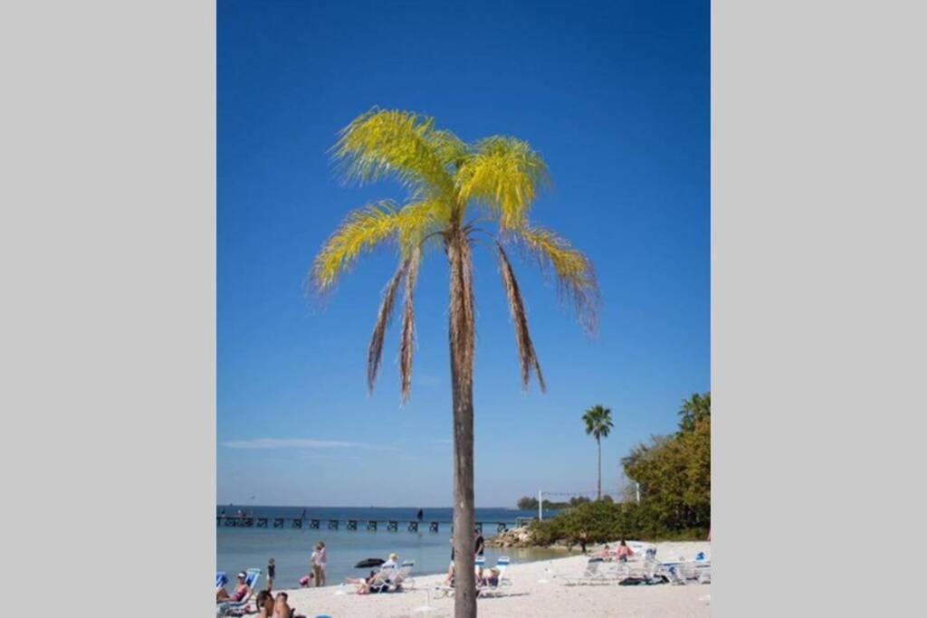 Bay View, Studio206, Beach Steps Away! Pool+Wifi 러스킨 외부 사진